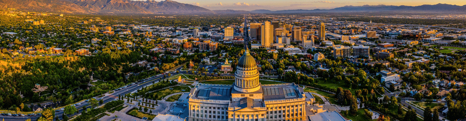 A large city landscape.