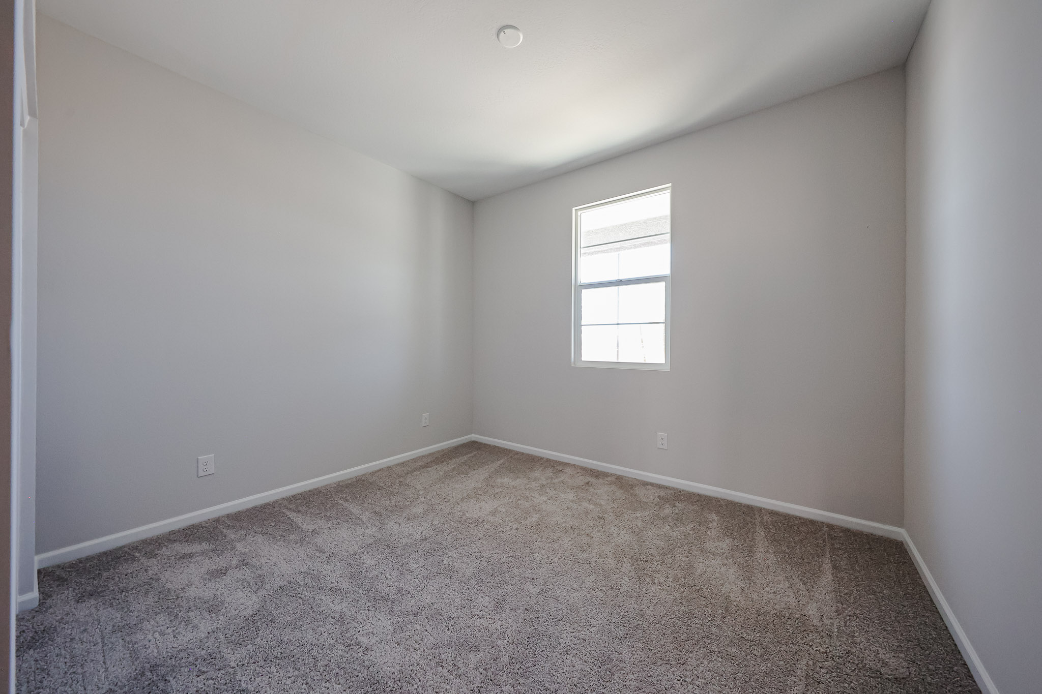 A room with a carpet and a window.