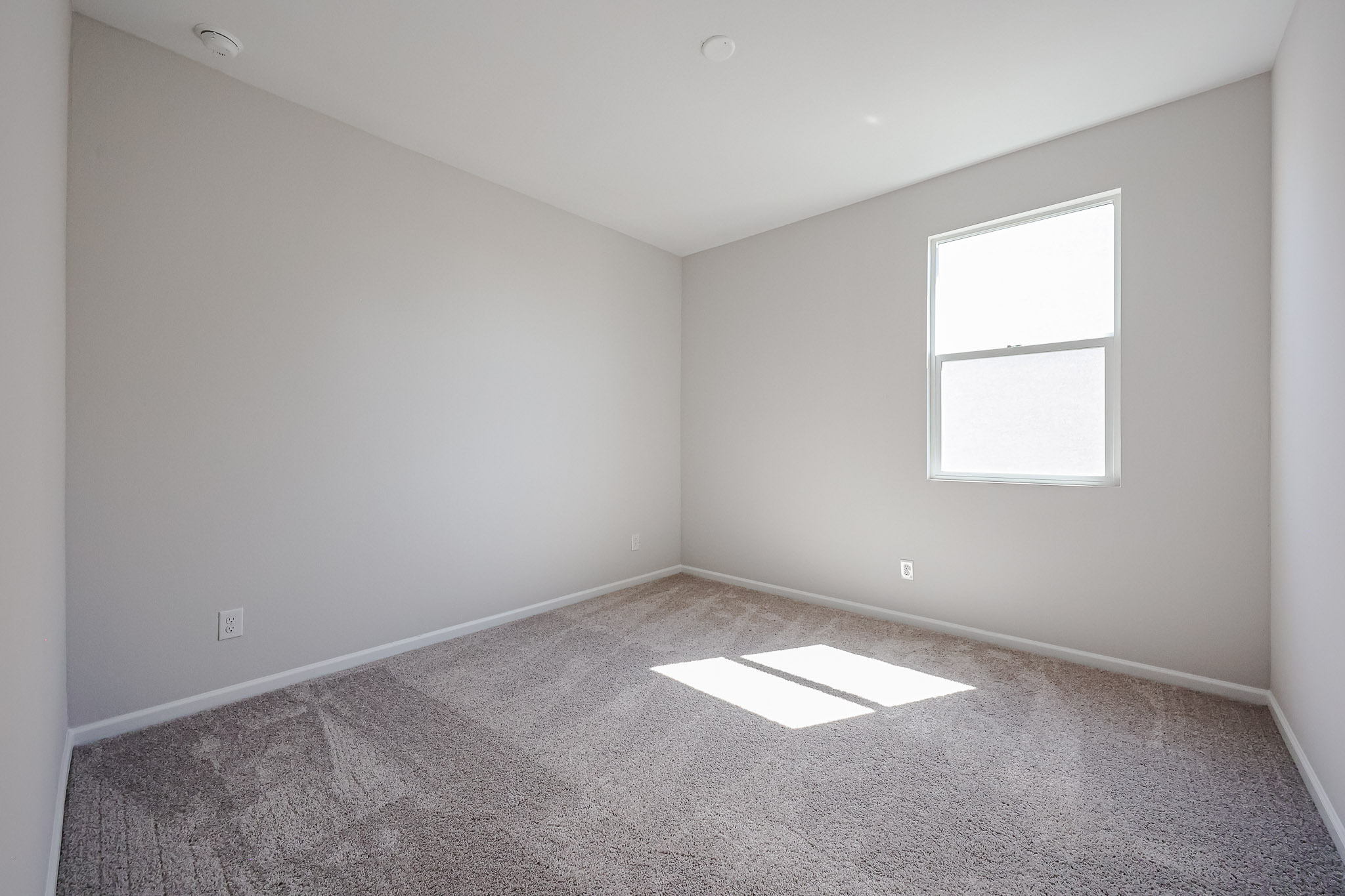 A room with a carpet and a window.