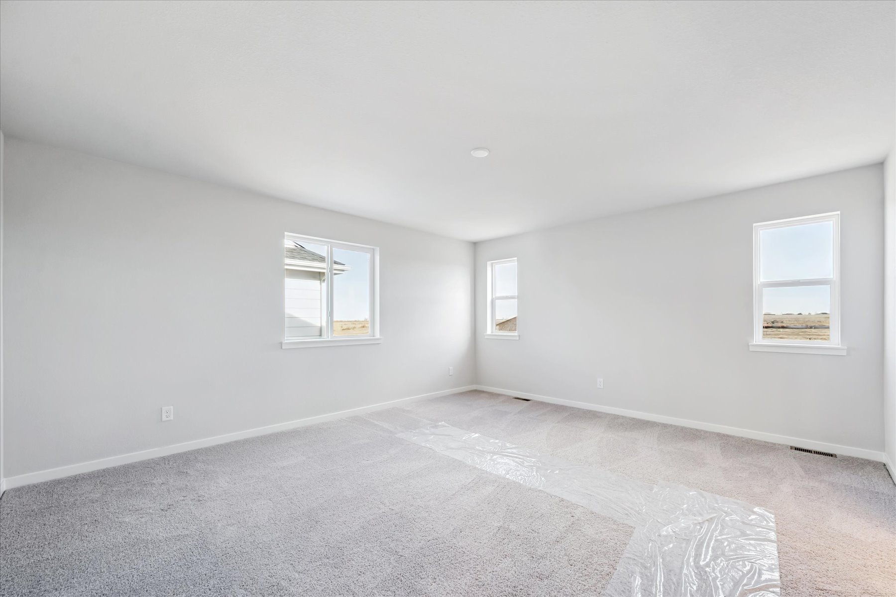 A room with a carpet and windows.