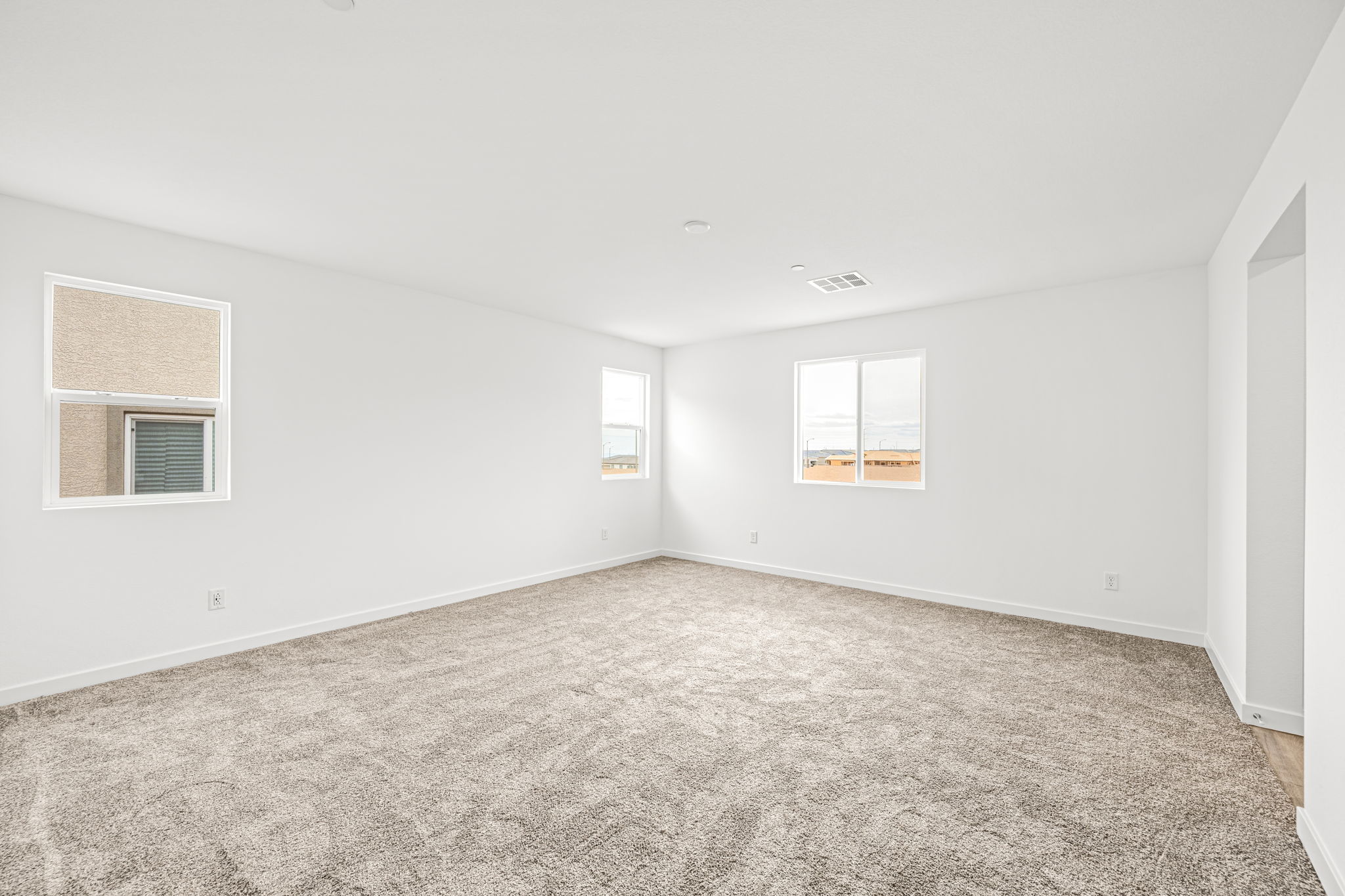 A room with a carpet and windows.