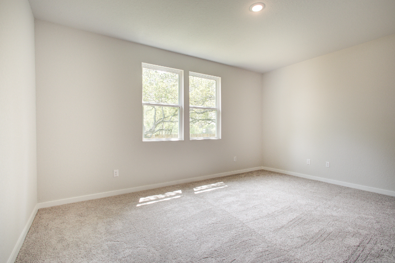 A room with a carpet and windows.