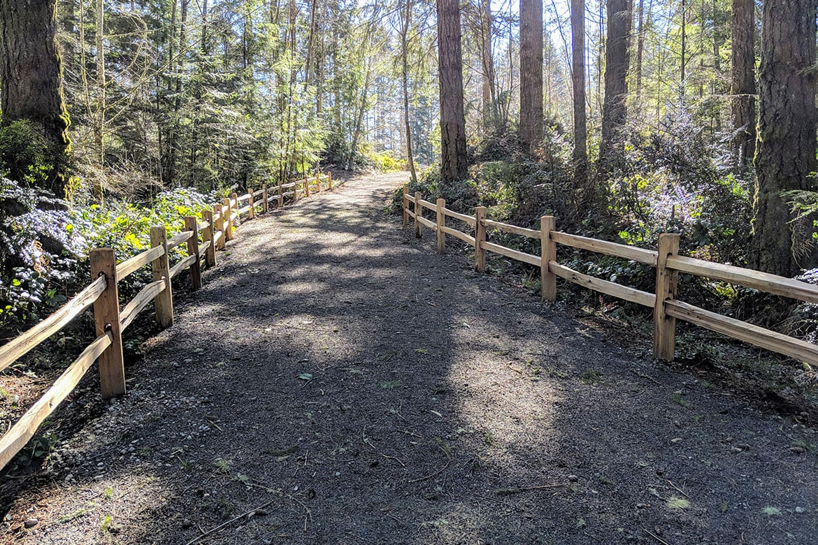 A path in the woods.